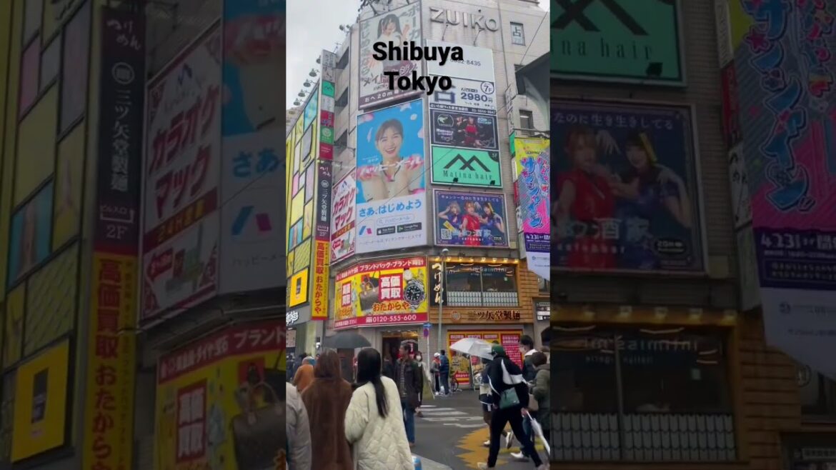 Tokyo - Welcome to Shibuya#japan #travel