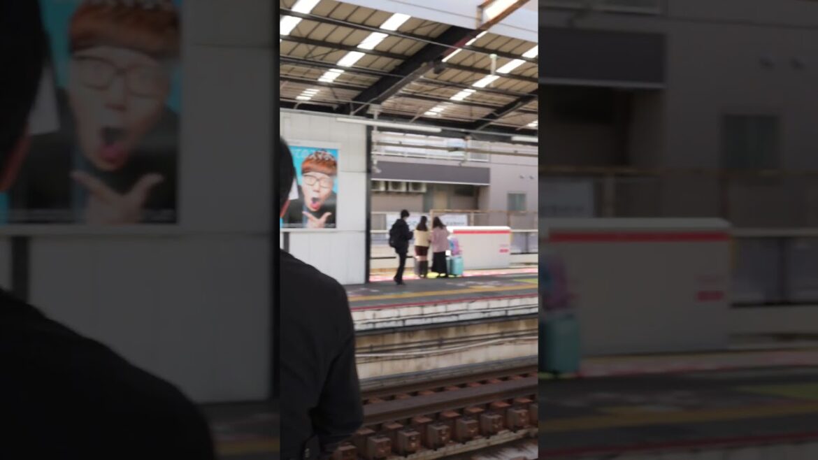 Waiting for the Perfect Shot: Train Spotting in Japan