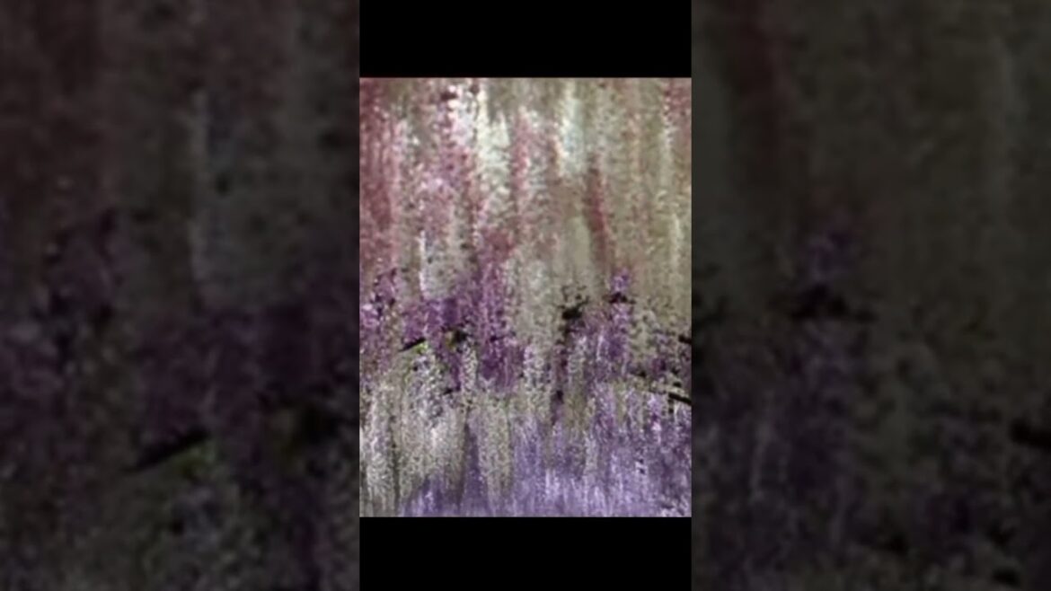 “Japan’s Enchanted floral Garden of Wisteria:Mytical Beauty #japan  #nature #beauty  #flowers🌷#short "Japan's Enchanted floral Garden of Wisteria:Mytical Beauty #japan  #nature #beauty  #flowers🌷#short