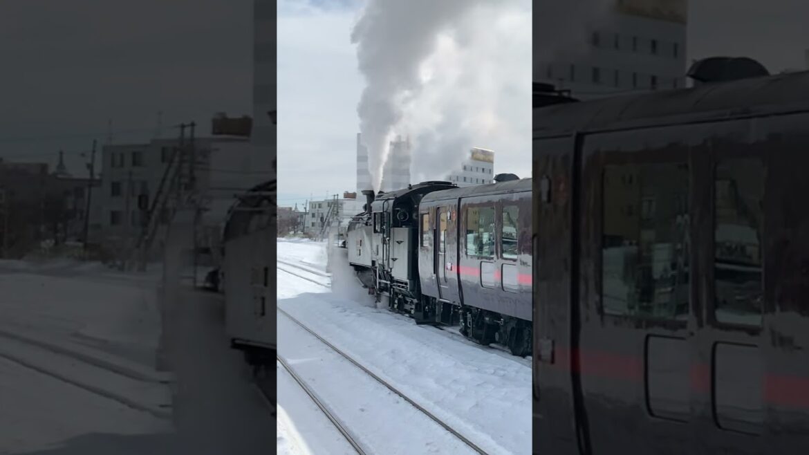 La locomotora invernal de Kushiro: Hokkaido #shorts