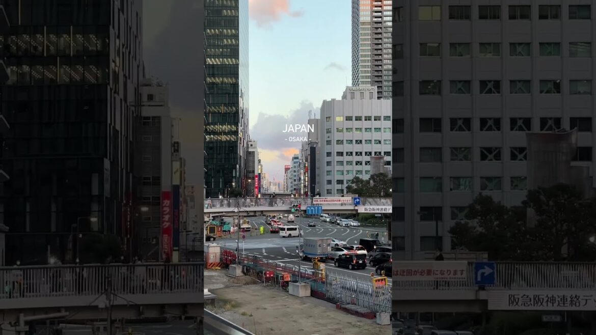 #japan #short #shorts #travel #vacation #explore #globetrotter #monde #shortsfeed #japanese