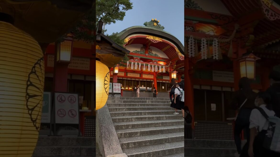 If you’re missing Japan, or dreaming of going, this is for you ❤️ #kyoto #japan #japantravel