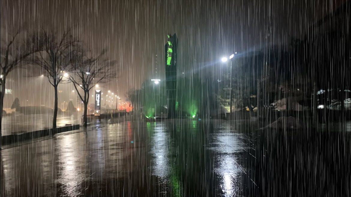 (4K) Night Walk in Heavy Rain | Rain Sounds for Sleeping | Peaceful & Relaxation | S.Korea | 수면빗소리 (4K) Night Walk in Heavy Rain | Rain Sounds for Sleeping | Peaceful & Relaxation | S.Korea | 수면빗소리