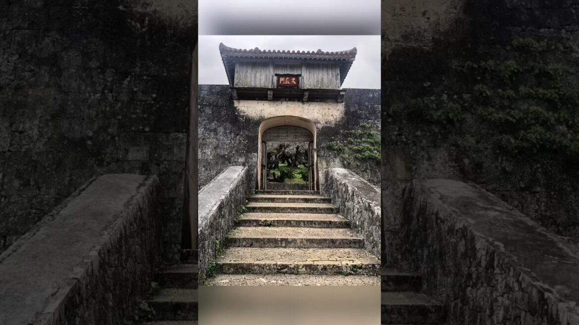 오키나와 슈리성 전망대 #shorts #okinawa #travel