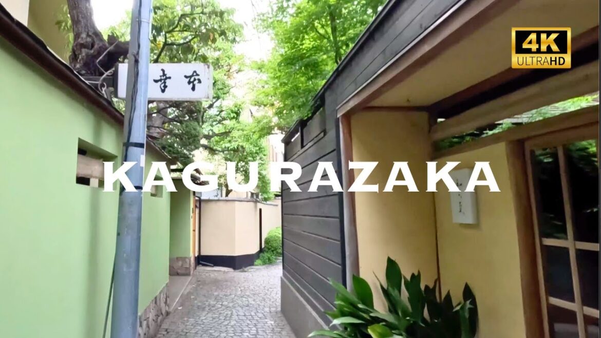 [4K] KAGURAZAKA Tokyo 💛 Walking Tour / 神楽坂 東京 散歩