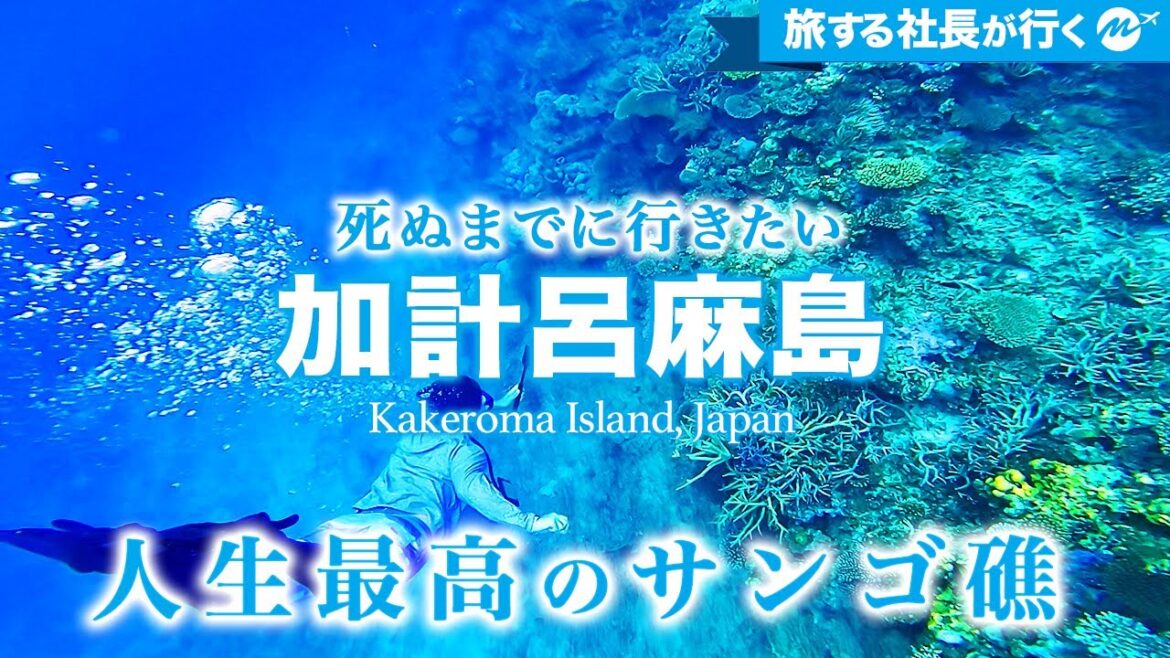 【保存版】加計呂麻島43歳ひとり旅。奄美の秘境が最高すぎた！おすすめ絶景スポット【鹿児島・奄美群島・離島・旅行・観光】