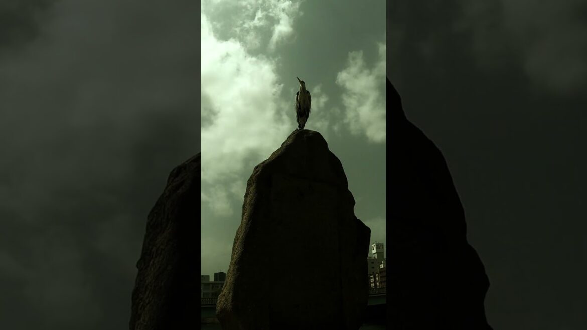 Visiting Hiroshima #shorts