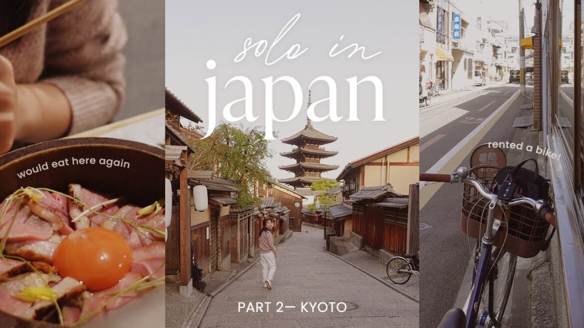 quick solo trip to kyoto japan travel vlog pt. 2 ~ renting a bike, duck rice, nishiki market, pagoda