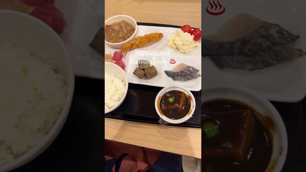 【宿紹介】Izu Shuzenji trip / 湯めぐりの宿、桂川(修善寺) #shorts