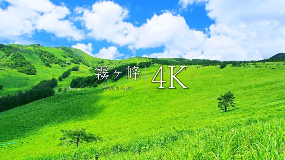 【天上の楽園】霧ヶ峰とビーナスラインの絶景を訪ねて - JAPAN in 4K
