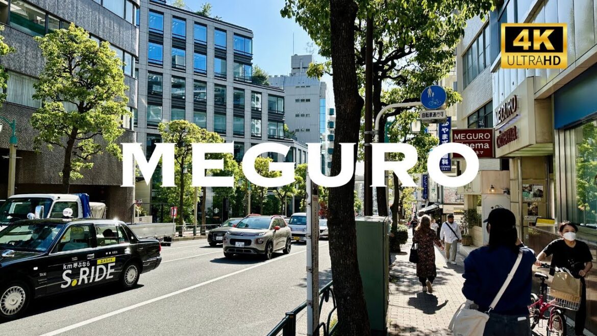 [4K] MEGURO Tokyo 💛 Walking Tour / 目黒 東京 散歩