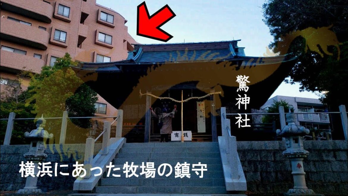 【開運！見るだけで参拝できる】横浜にあった牧場の鎮守～驚神社(神奈川県横浜市)オンライン参拝2023年版　※YouTube神社参拝数世界一！548箇所目