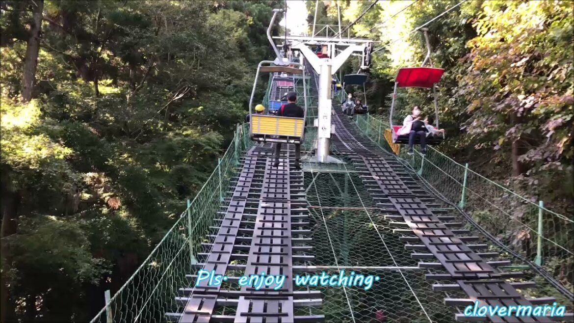 Mt. Takao , Tokyo Japan 2021/ Chair Lift(高尾山、チェアーリフト)A little bit early for Maple trees viewing. Mt. Takao , Tokyo Japan 2021/ Chair Lift(高尾山、チェアーリフト)A little bit early for Maple trees viewing.