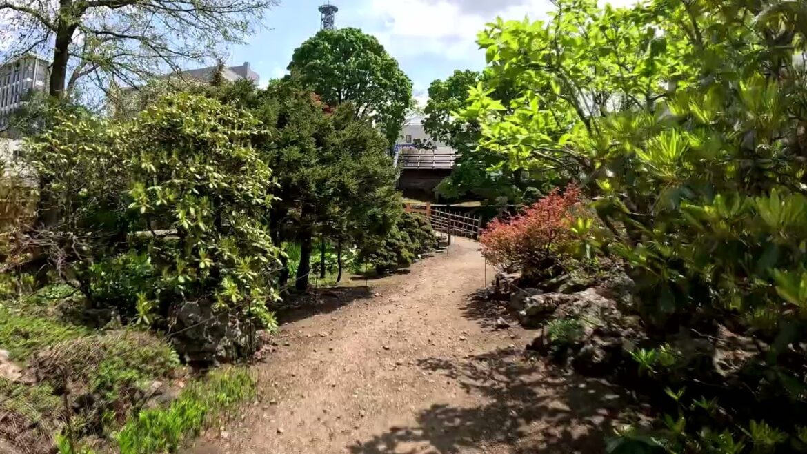 Botanic Garden Hokkaido University - Walking Video [Sapporo, Hokkaido, Japan]