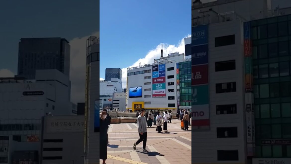 My Discoveries in JAPAN!🇯🇵 #japan