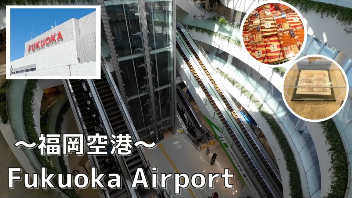 九州の玄関口福岡空港と日本航空ラウンジを徹底解説‼︎