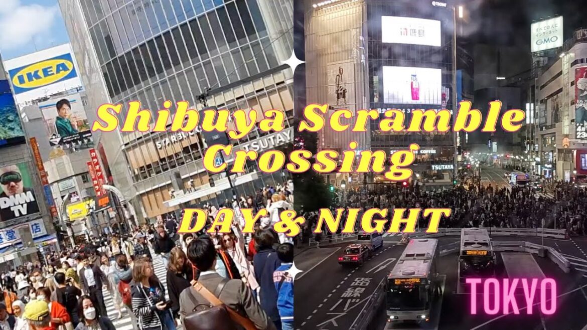 Shibuya Scramble Crossing Day & Night | View From Shibuya Mark City  🇯🇵
