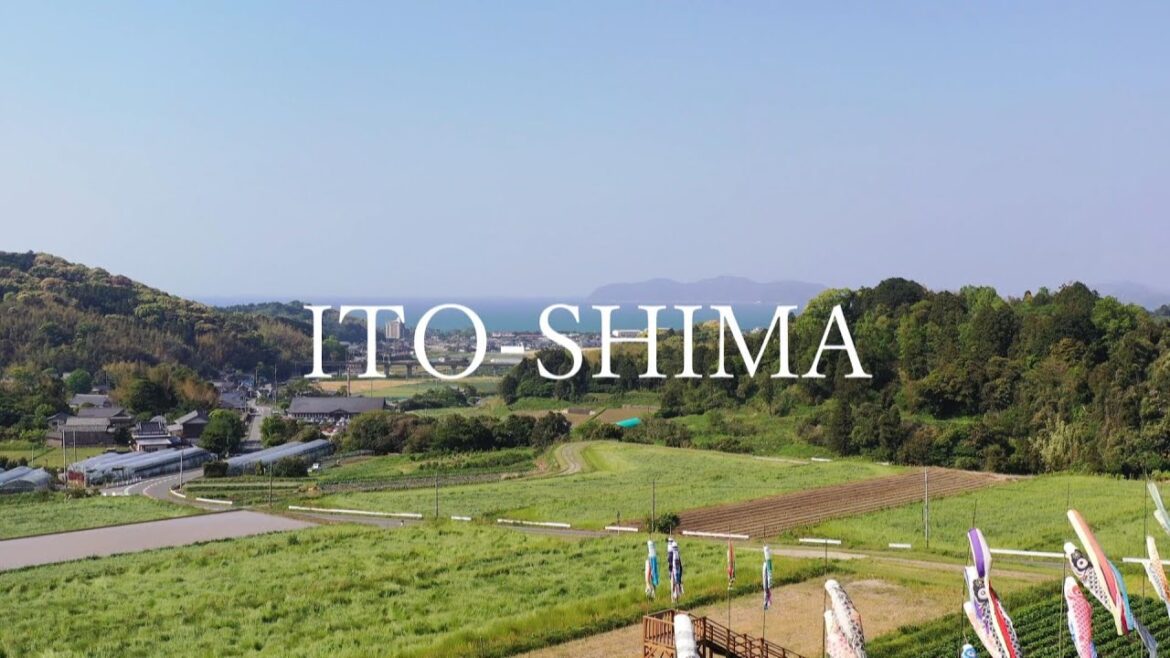 こいのぼり　～糸島10秒動画～