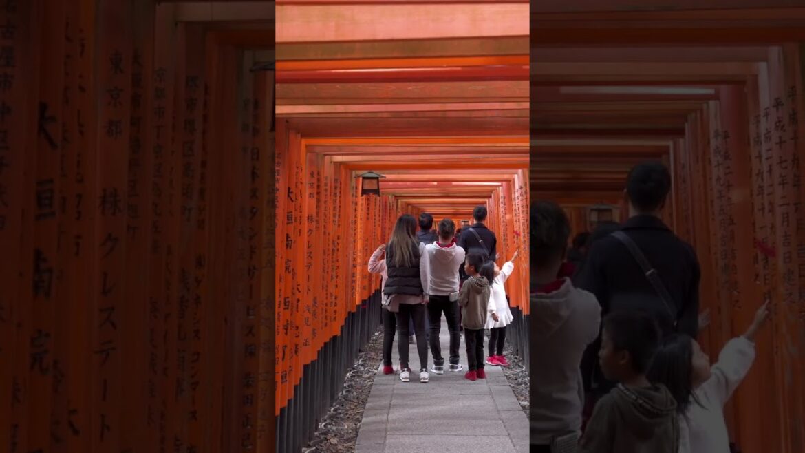 π»π― This is JAPAN #shorts π»π― This is JAPAN #shorts