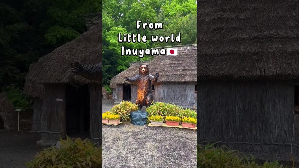 An old village from Japan, which belongs to people known as Ainu. #shorts #travel #travelvlog An old village from Japan, which belongs to people known as Ainu. #shorts #travel #travelvlog