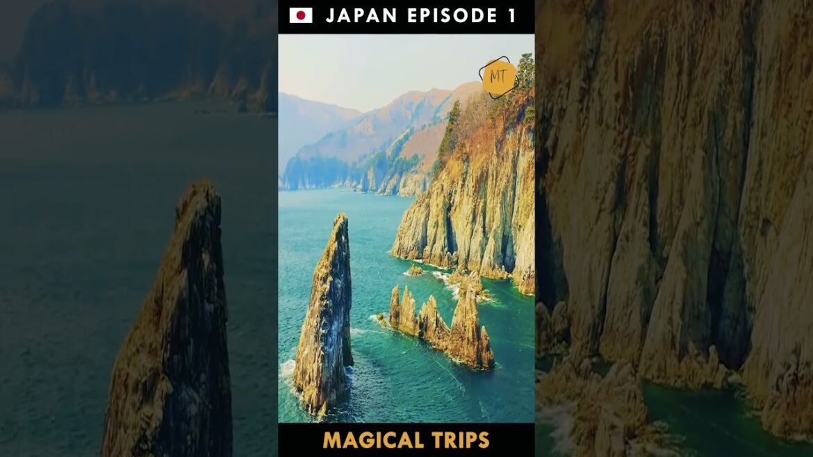 JAPAN Episode 1 Amazing Trip #beautiful #nature #shorts #reels #viral #trending #instagram