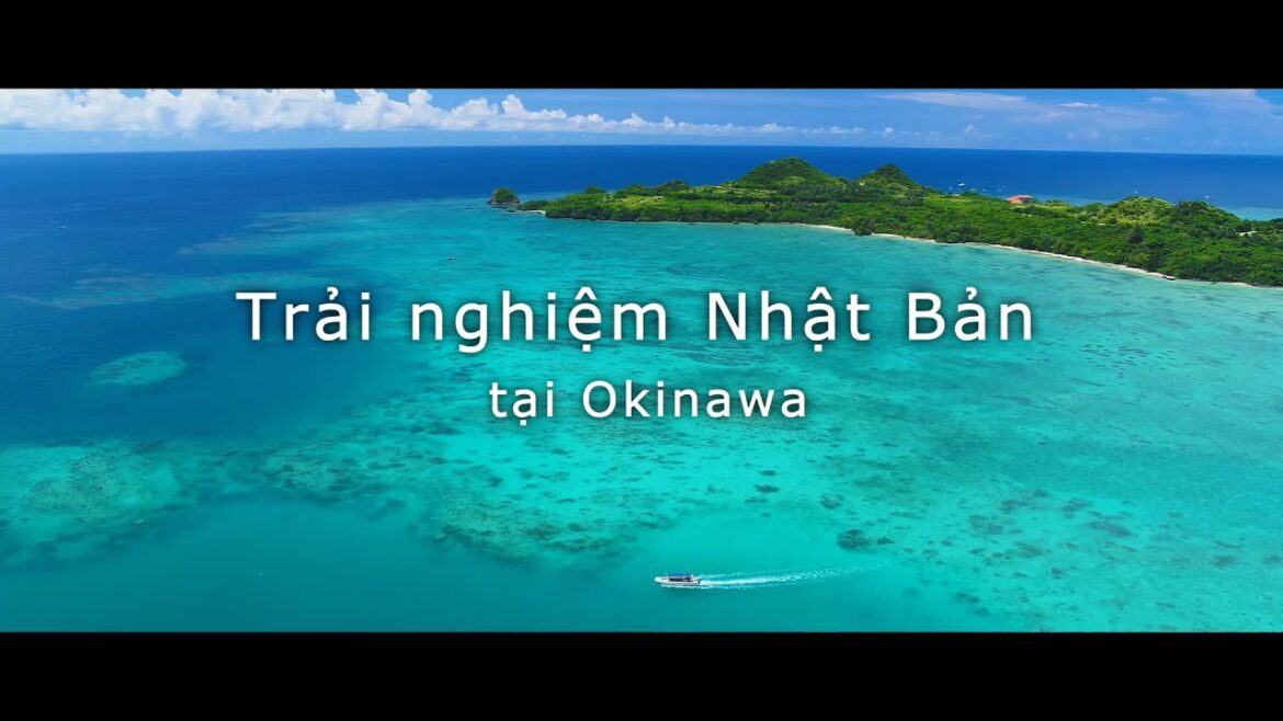Nhật Bản mới lạ - Say mê khám ph／Okinawa／mùa hè | JNTO