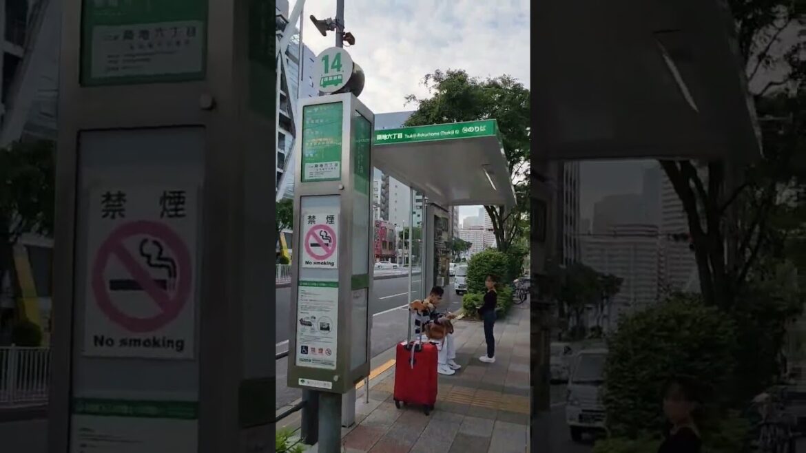 THE STREETS OF TSUKIJI GINZA TOKYO JAPAN