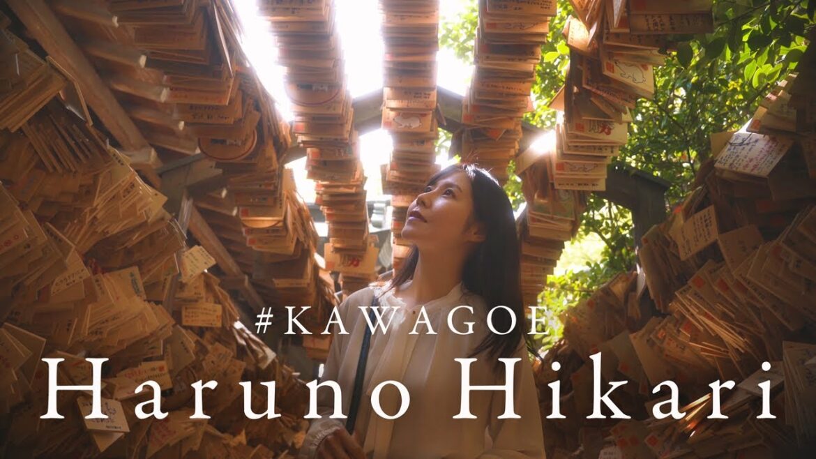 Haruno Hikari | 桜と川越氷川神社| Cinematic Vlog | sony α6600 with sigma 18-50mm F2.8 DC DN