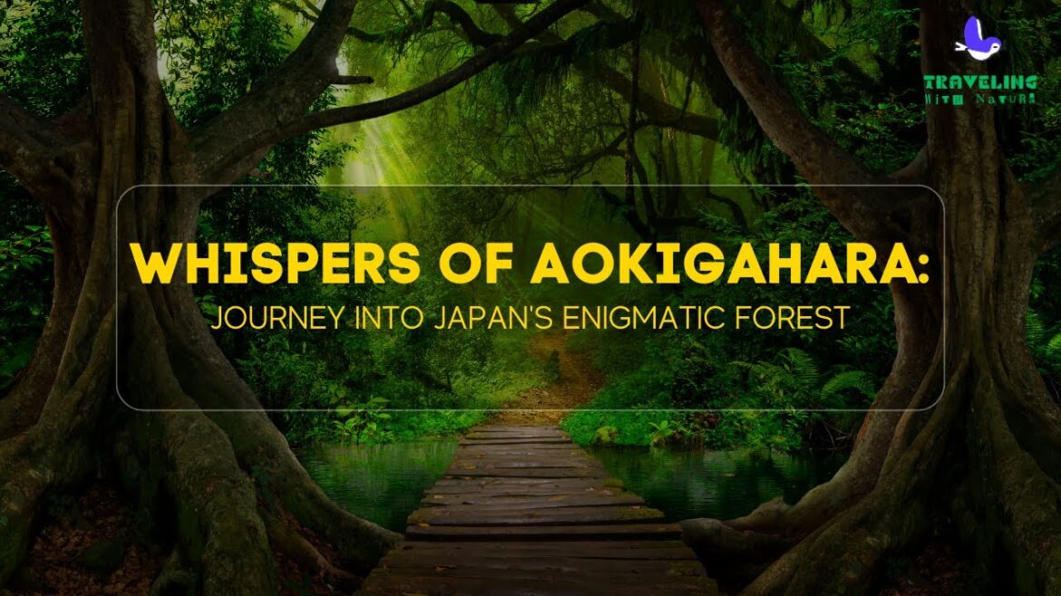 Whispers of Aokigahara : Journey into Japan’s Enigmatic Forest Whispers of Aokigahara : Journey into Japan's Enigmatic Forest