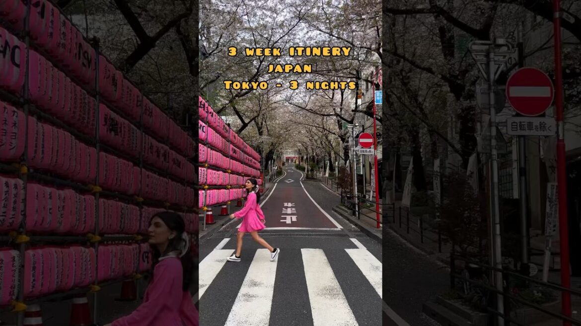 3 WEEK ITINERARY IN JAPAN