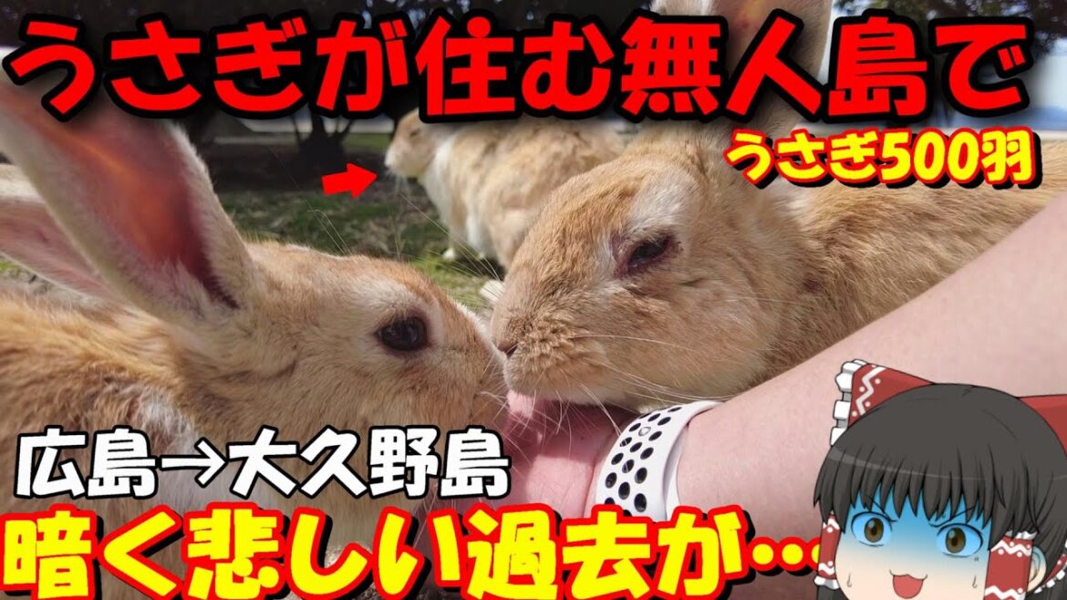 日本地図から消された島…。フェリーでうさぎの住む無人島に向かう‼忠海→大久野島【ゆっくりトラベル】 日本地図から消された島…。フェリーでうさぎの住む無人島に向かう‼忠海→大久野島【ゆっくりトラベル】