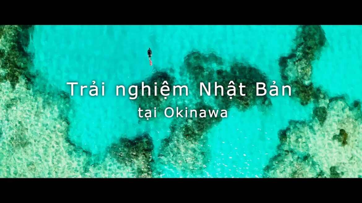Nhật Bản mới lạ - Say mê khám ph／Okinawa | JNTO