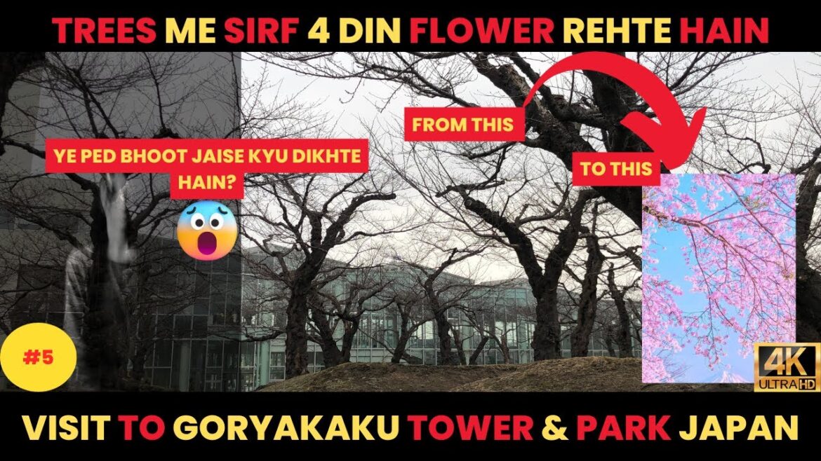 Spooky Japanese Parks | Yaha Sab Ped Bhutiya Kyu Hain | Japan Travel  E05 Day03 #japan #vlog #hindi