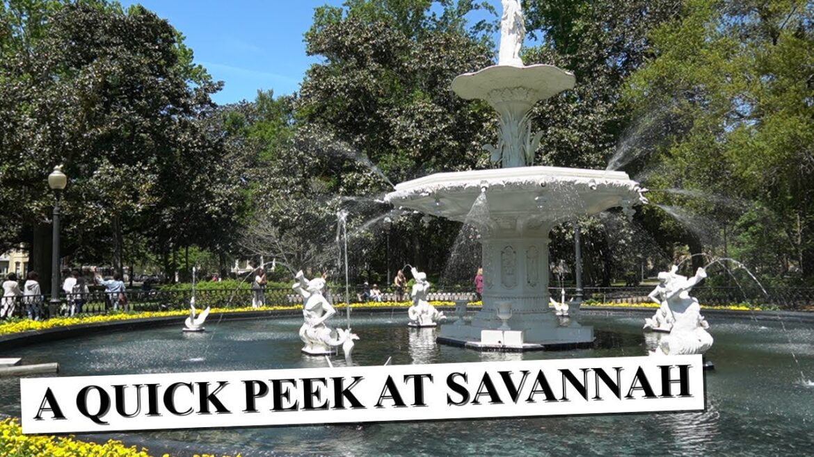 A Quick Peek at Savannah A Quick Peek at Savannah