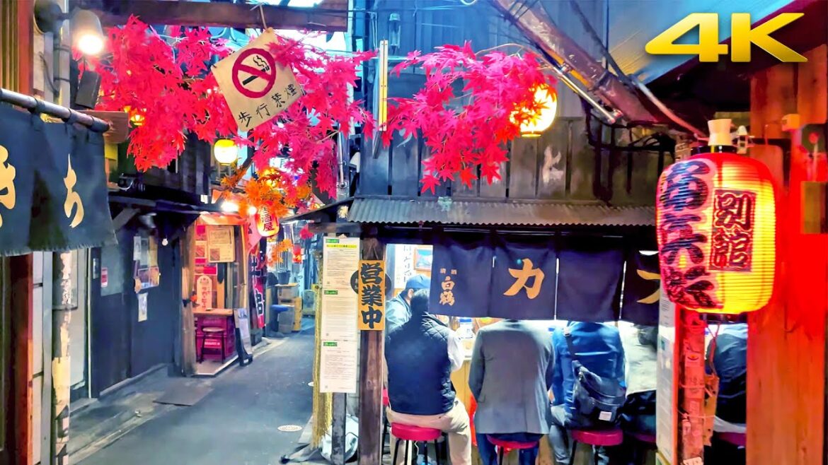 Tokyo Evenign Walk - Shinjuku [reupload]・4K