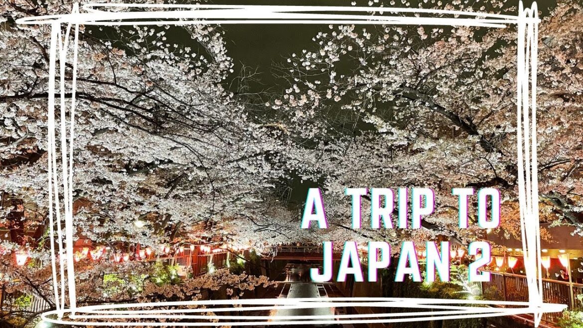 A trip to Japan 2 | 東京 | 箱根 | 大阪