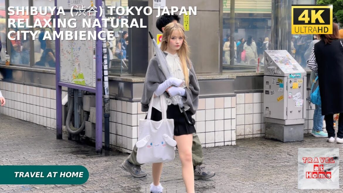 4k hdr japan travel | Walk in Shibuya (渋谷) Tokyo japan |  Relaxing Natural City ambience