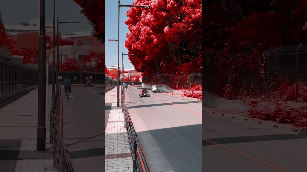 Go-Kart Tour, Tokyo, Japan | #Shorts