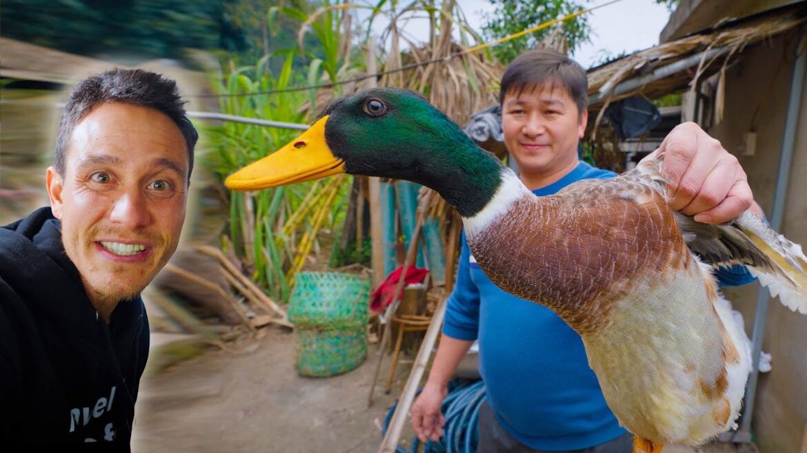 Unique WHOLE DUCK Barbecue!! 🇻🇳 Vietnamese Food in Rural Village, Ha Giang!!