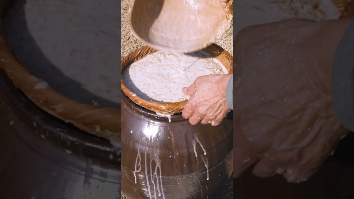 Here's why Korean rice syrup costs $140 per kilogram. #rice #ricesyrup #koreanfood