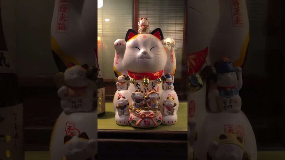 📺 🇯🇵 #japan #short #shorts #travel #vacation #explore #globetrotter #monde #shortsfeed #japanese 📺 🇯🇵 #japan #short #shorts #travel #vacation #explore #globetrotter #monde #shortsfeed #japanese