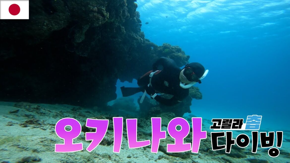 [일본여행]오키나와 고릴라촙 다이빙 Vlog #freediving #오키나와