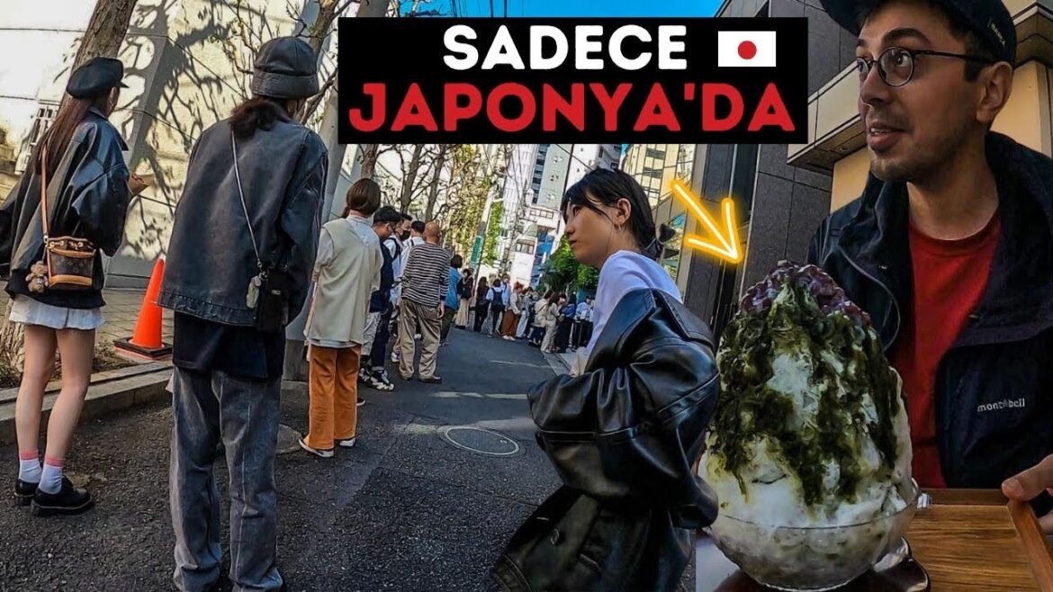 Tokyo Bisiklet Turu,Bu İnsanlar Neden Sırada Bekliyor? Roppongi,Ebisu,Omotesando,Shibuya Gezisi