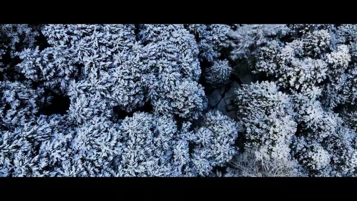 Nagano/Jigokudani Snow Monkey Park, Japan – Cinematic 4K