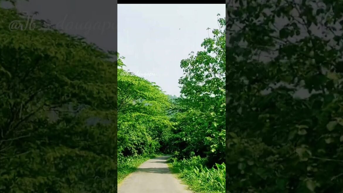 Colourful Nature ππΏβ£οΈ Colourful Nature ππΏβ£οΈ