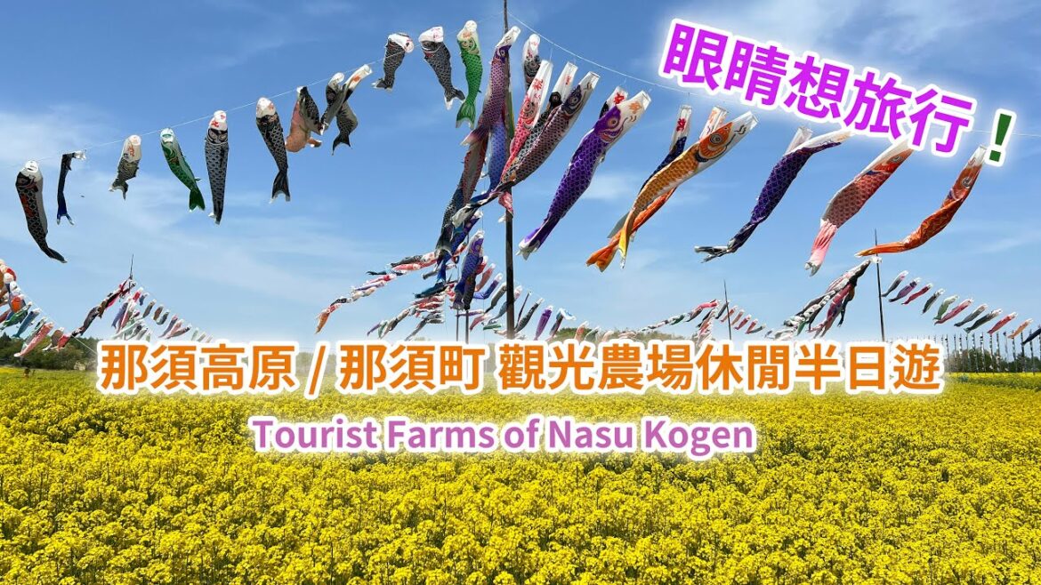 ［ 睇花睇到眼花花！］ 眼睛想旅行 - 那須高原觀光農場休閒半日遊（Tourist Farms of Nasu Kogen）#japantravel