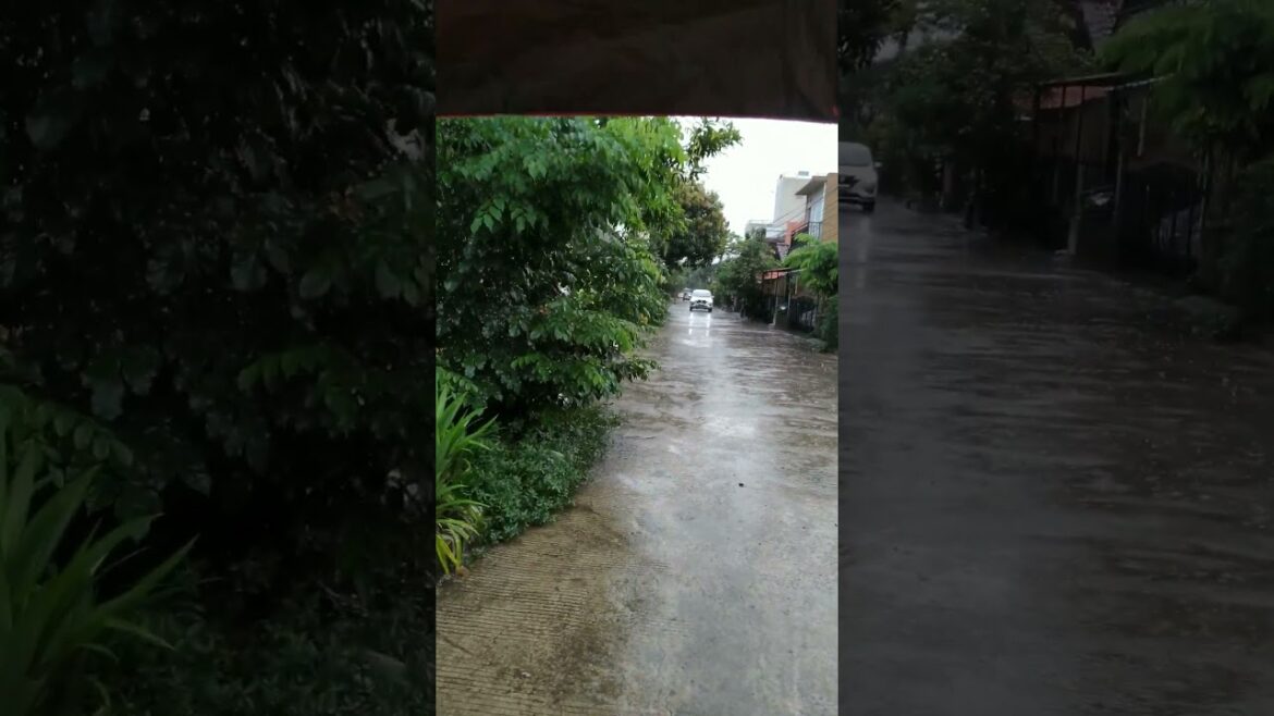 rain walk in village Indonesia #shorts #relaxing #rain