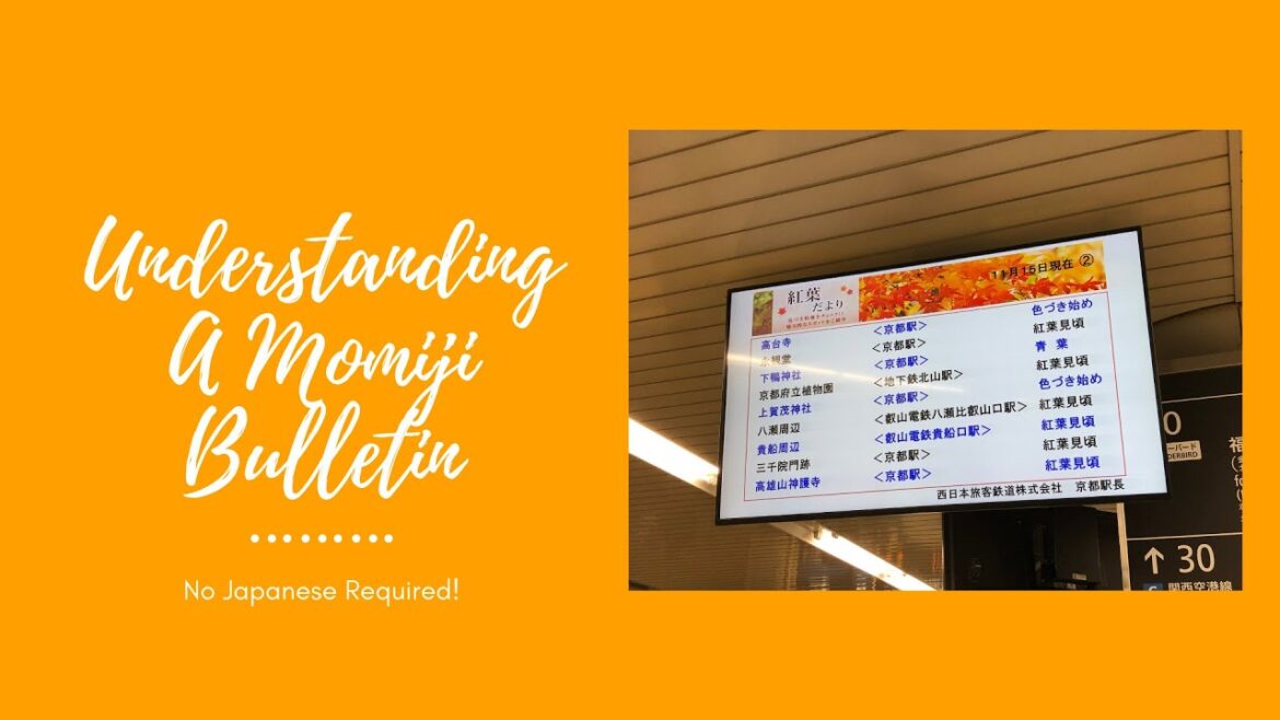 Understanding Maple/Momiji Bulletin With No Japanese Knowledge Needed!