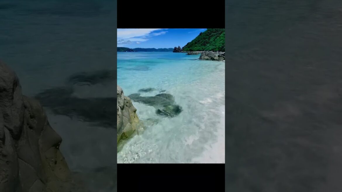 Crystal clear water at Okinawa  | Choo Choo Charles | Lego Ninjago  #travel #ytshorts #nature #sea