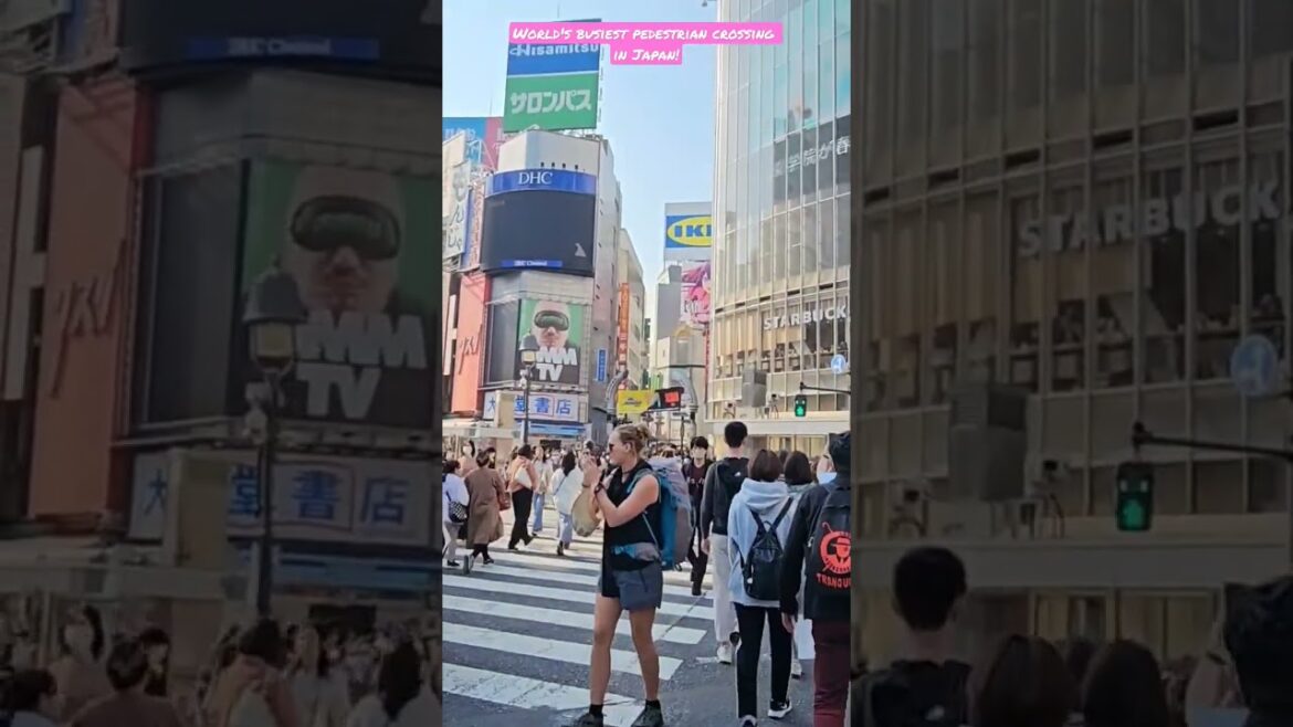 2023 World's Busiest Crossing @ Shibuya Crossing in Tokyo, Japan